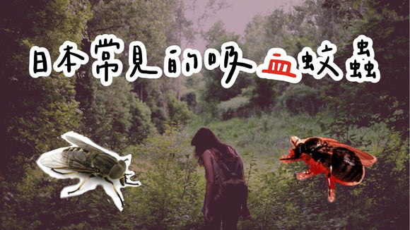 日本山林常見的吸血蚊蟲