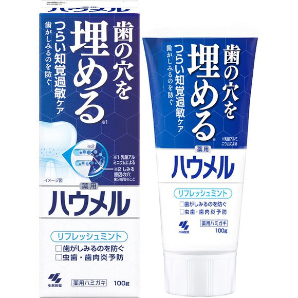 小林製藥 Howmel 藥用修護牙膏 100g 知覺過敏專用修護配方，修補牙洞、全面護齒【醫藥部外品】