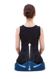 COGIT 腰痛對策 護脊座墊 藍色