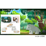 HALF TOYS 鴨嘴獸 教育玩具