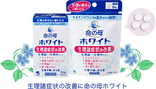 小林製藥 命之母 命母 White 女性調理錠 【第2類醫藥品】