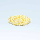 Morishita Rendan Health Aid 5 Billion Probiotics 30 bags for 30 days