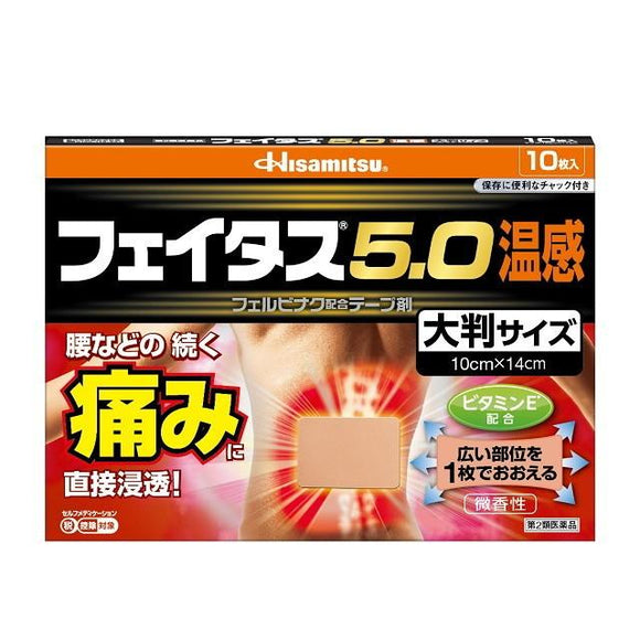 久光製藥 FEITAS5.0 高效鎮痛貼布 溫感 大尺寸 10枚 【第2類醫藥品】