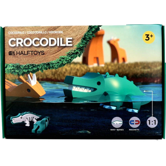 HALF TOYS 鱷魚 教育玩具