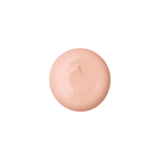 SHISEIDO Key to Skin Perfect Moisturizing Powder Cream No. 00 25g