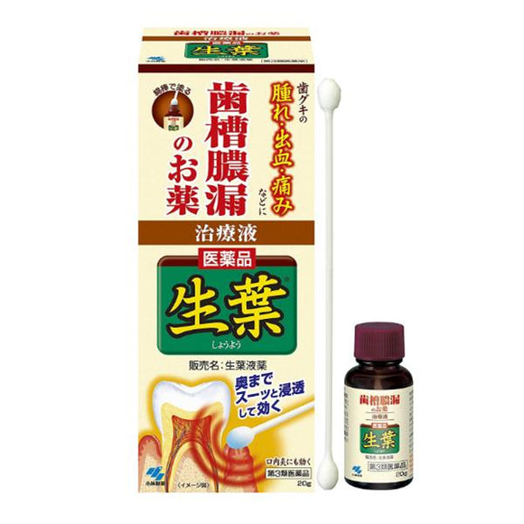 [Class 3 medicines] Kobayashi Pharmaceutical's raw leaf liquid, raw leaf gum swelling and pain medicine 20g/bottle