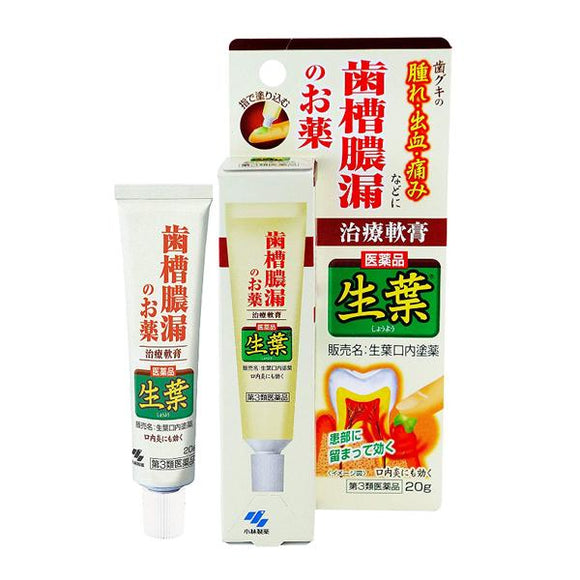[Class 3 pharmaceutical products] Kobayashi Pharmaceutical Periodontal Care Ointment 20g/bottle