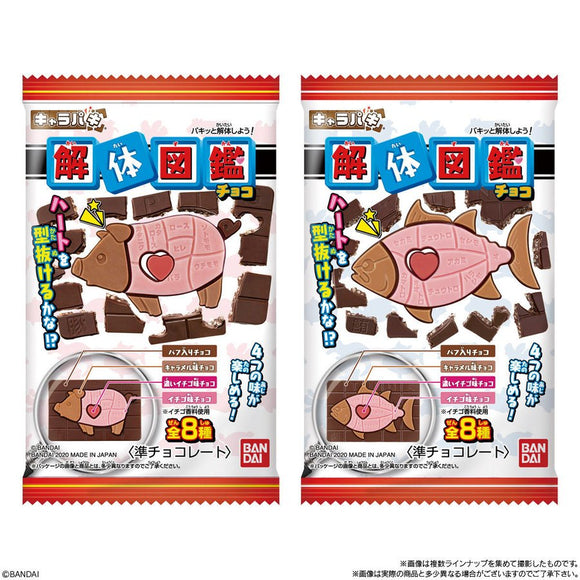 BANDAI Animal Disassembly Illustrated Chocolate All eight kinds are shipped randomly. Appreciation period 8/30