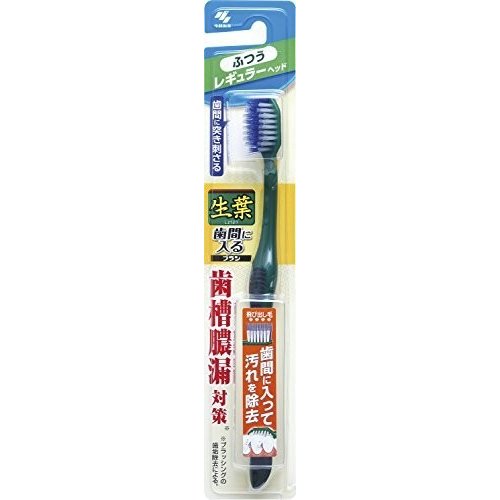 Kobayashi Pharmaceutical Raw Leaf Toothbrush is suitable for brushes with normal hardness between teeth (cannot choose color)